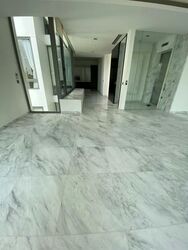 Marina Collection (D4), Condominium #588404911